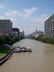 IMGP3931.jpg